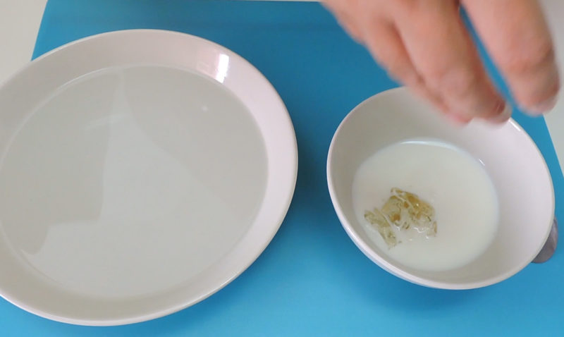 Disolviendo la gelatina hidratada en leche caliente