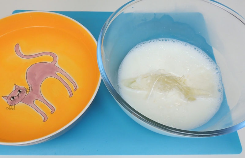 Añadiendo la gelatina hidratada en la leche caliente