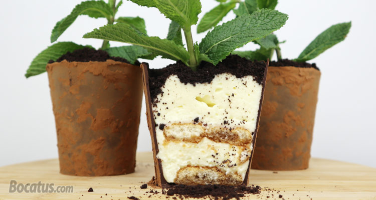 Macetas de Chocolate rellenas de Tiramisú Macetas de Chocolate rellenas de Tiramisú